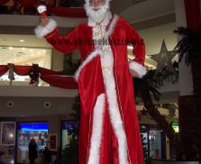 tahta-bacak-(7) tahta-bacak-(7)