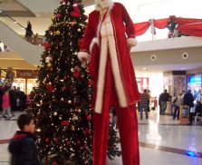 tahta-bacak-(8) tahta-bacak-(8)