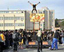 483983_10151139893380519_1103869459_n 483983_10151139893380519_1103869459_n